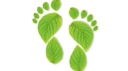 Manufacturing Footprint Optimization: hearing aid manufacturer