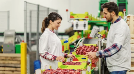 Het duurzaamheidsdilemma in de Foodlogistiek